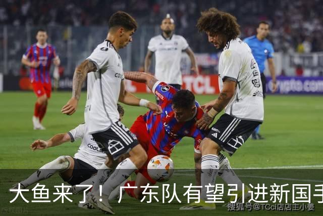 大鱼来了！广东队有望引进新国手后卫，这可是“加强版徐杰”！