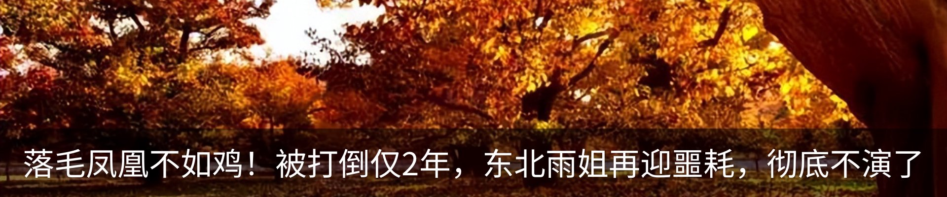 行业资讯